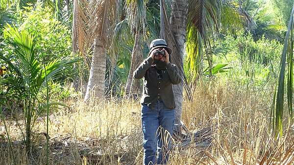 Biodiversity specialist using binoculars during wildlife monitoring in the Mangrove Restoration Mexico Project.