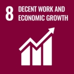 SDG Goal 8 icon