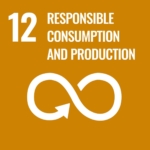 SDG Goal 12 icon