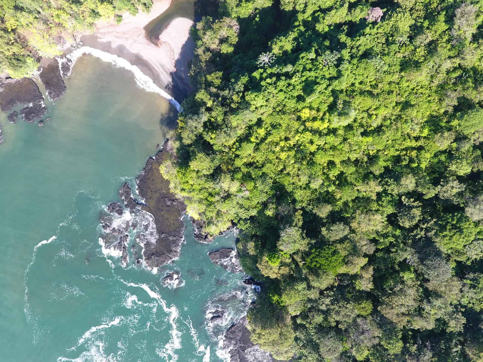 Aerial view, forest and ocean