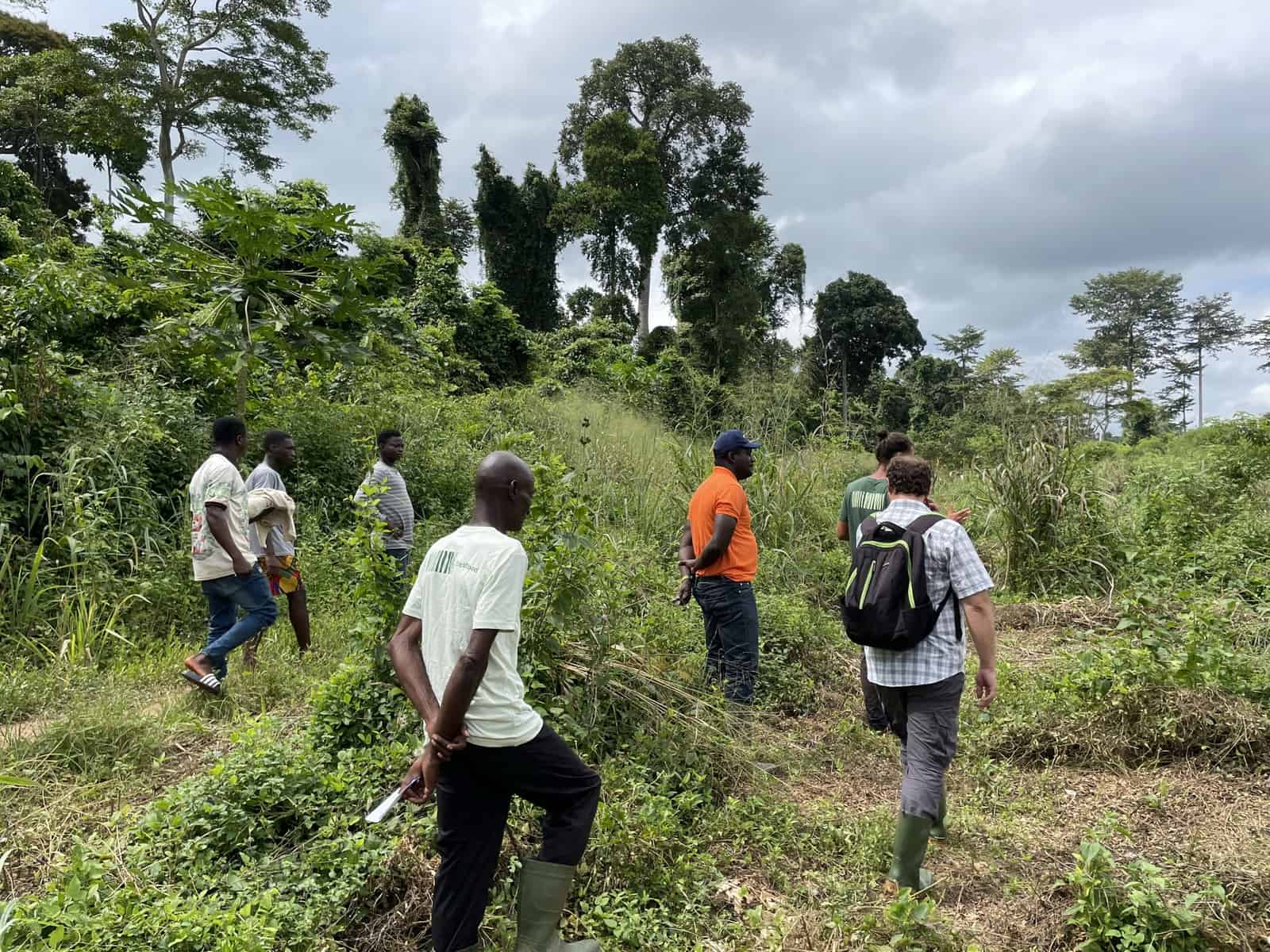 Team walking through farm, Côte d'Ivoire