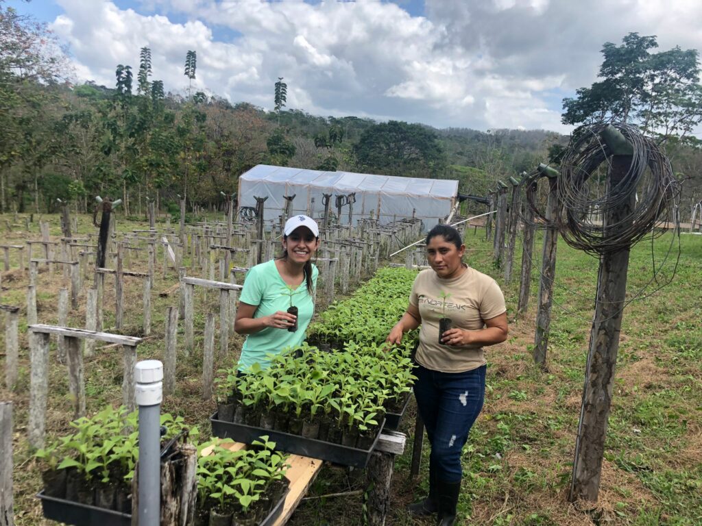 Lina Avila and Carmen Marenco, standing in a field, holding each one sprout in their hand. In the middle is a tree nursery. 