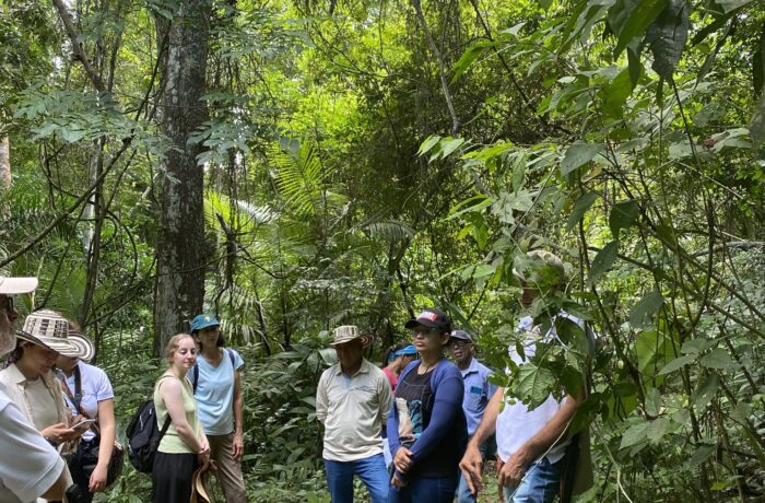 people in forest, colombia, group talking to each other, nature