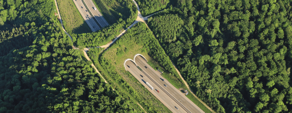 Aerial view of street / Autobahn surrounded by forest and green.