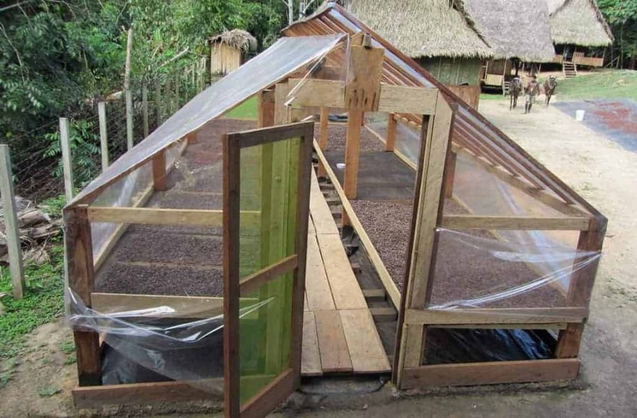 Greenhouse, cocoa drying