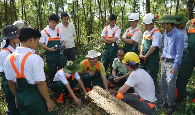 TRAINING-ON-SUSTAINABLE-FORESTRY-VIETNAM-3-1024x575