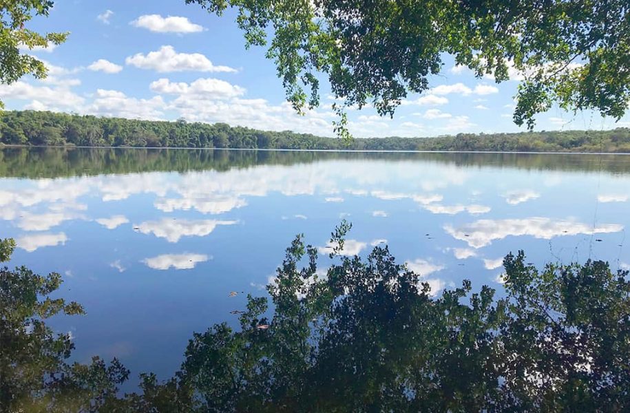 Lake, mirrored image